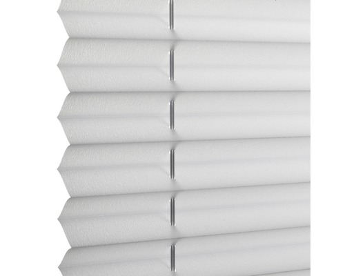 Woonkamer idee: Daglicht plisségordijn 60x130 cm wit