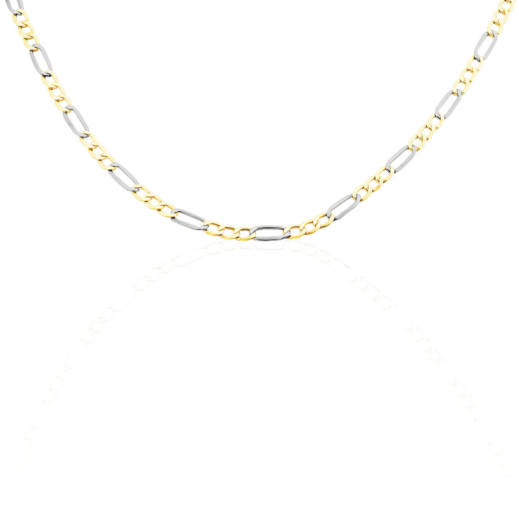 Chaîne Cameo Maille Alternee 1/3 Or Bicolore