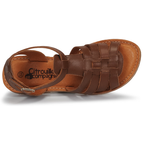 Citrouille et Compagnie - MINIBOU - Marron