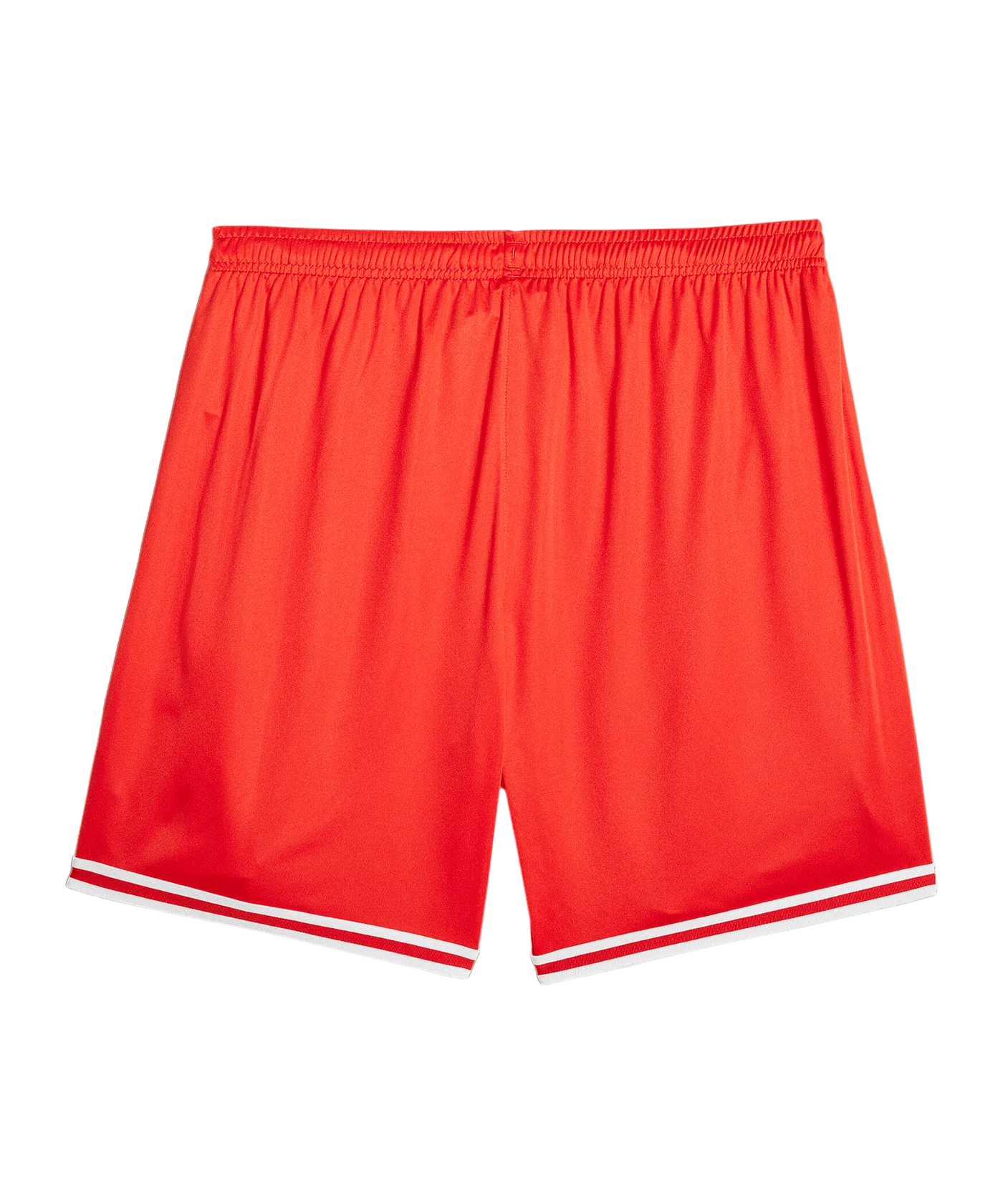 PUMA Hoops Team Game Short Rot F04
