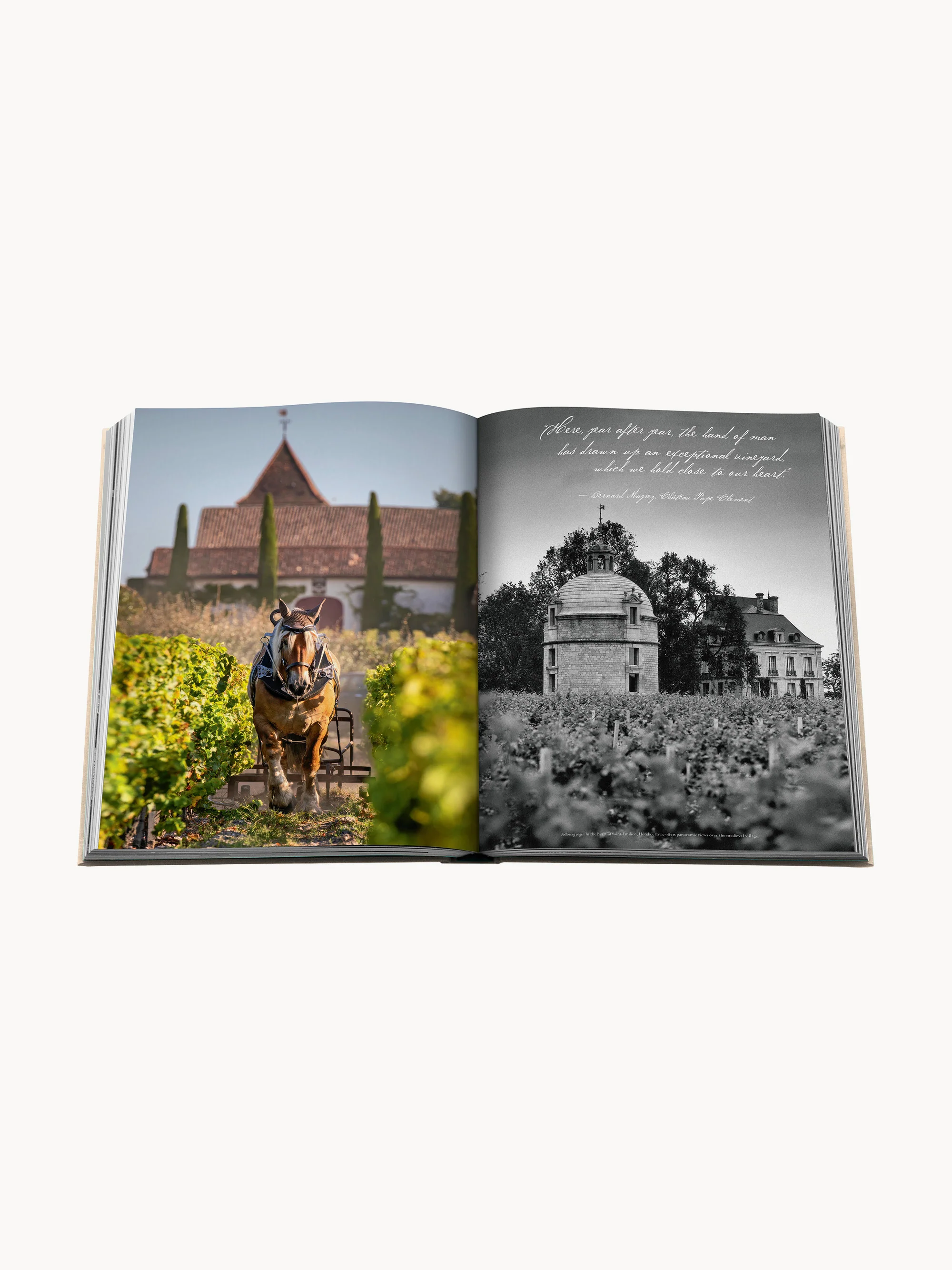 Koffietafelboek Wine & Travel: France