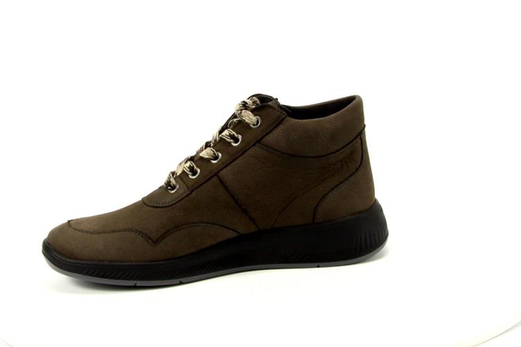 Solidus 56284 Halea 284 rock smog