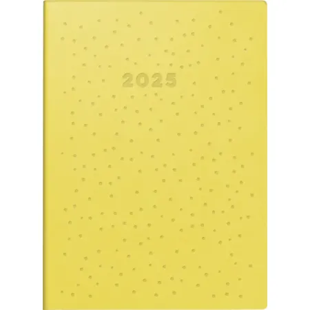 rido/idé Taschenkalender Mod. Technik S '25 „Dots“ | A6, Kunstleder