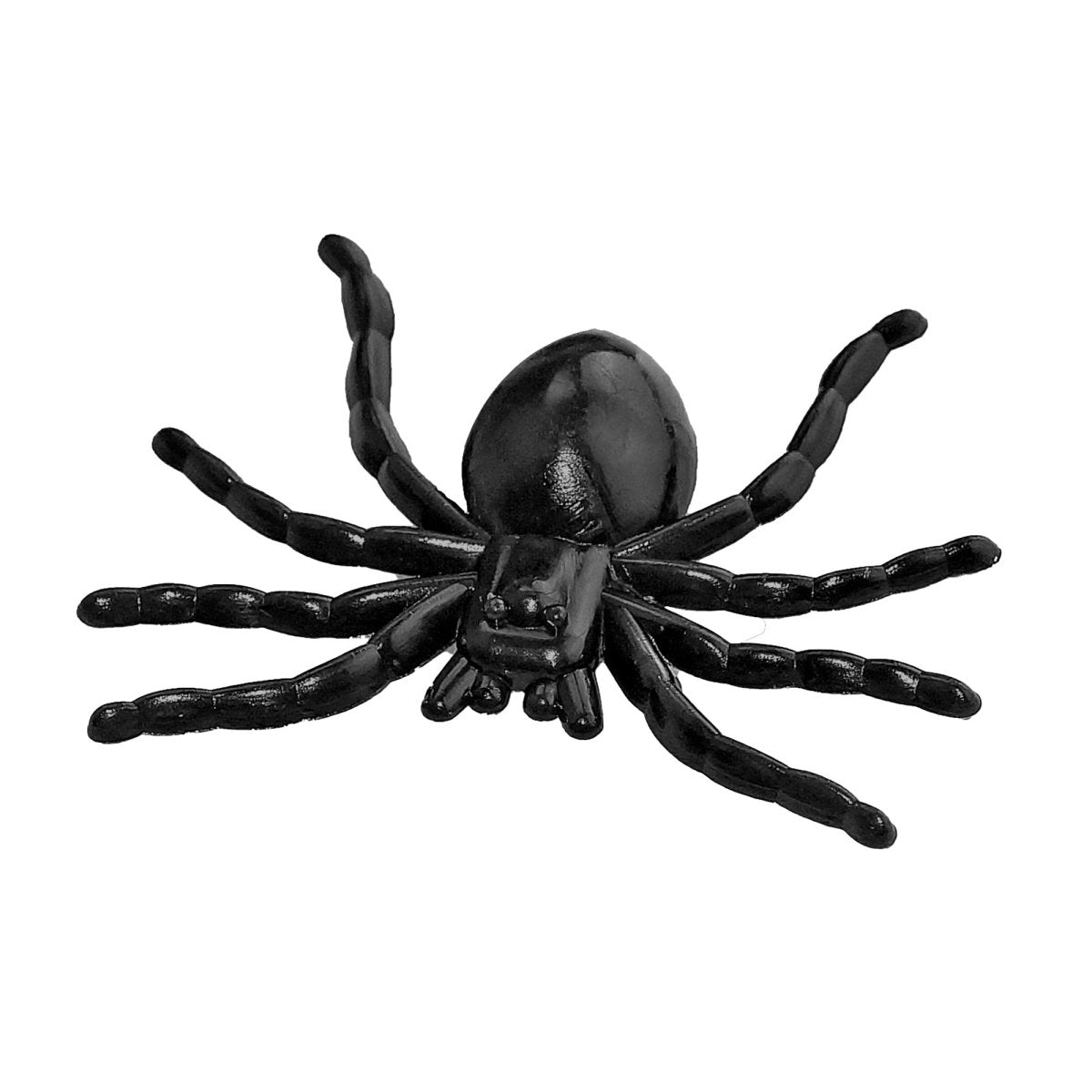 Halloween Nep Spin 60st