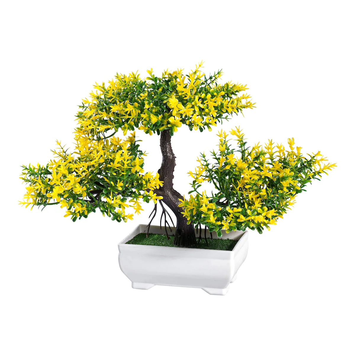 viva domo - Blühender Bonsai - gelb