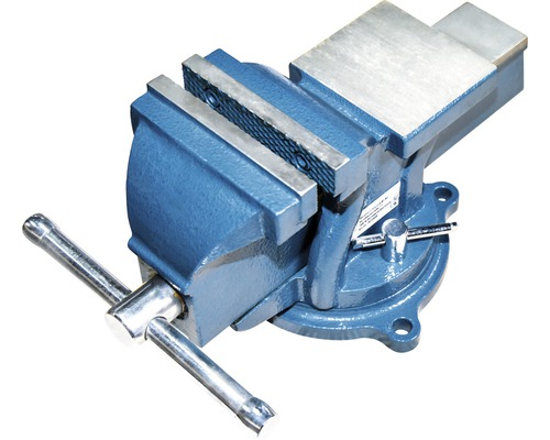 Bankschroef van gietijzer 100 mm