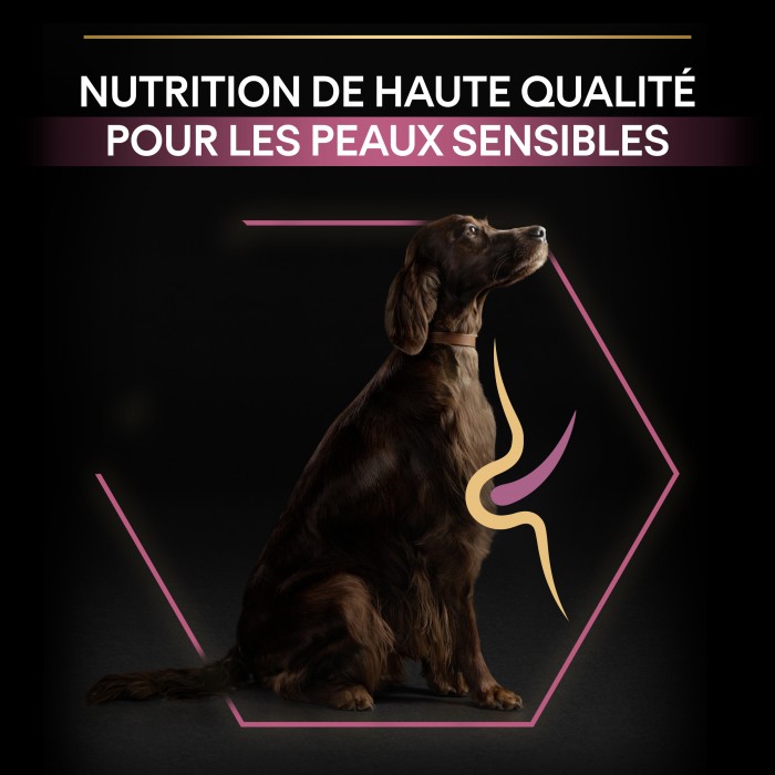 PRO PLAN Sensitive Skin Large Athletic Adult au Saumon - Croquettes pour chien