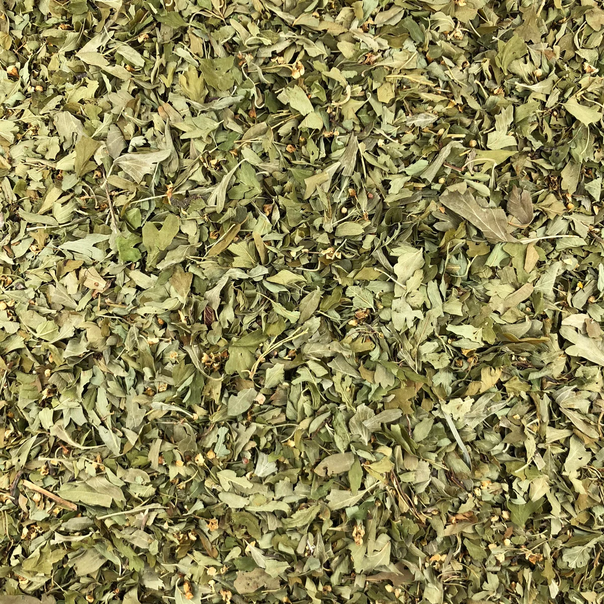 Aubepine Fleurs et Feuilles Bio en Vrac 125g Vrac Bio