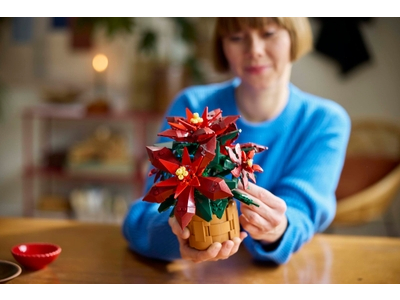 LEGO Kerstster (10370)