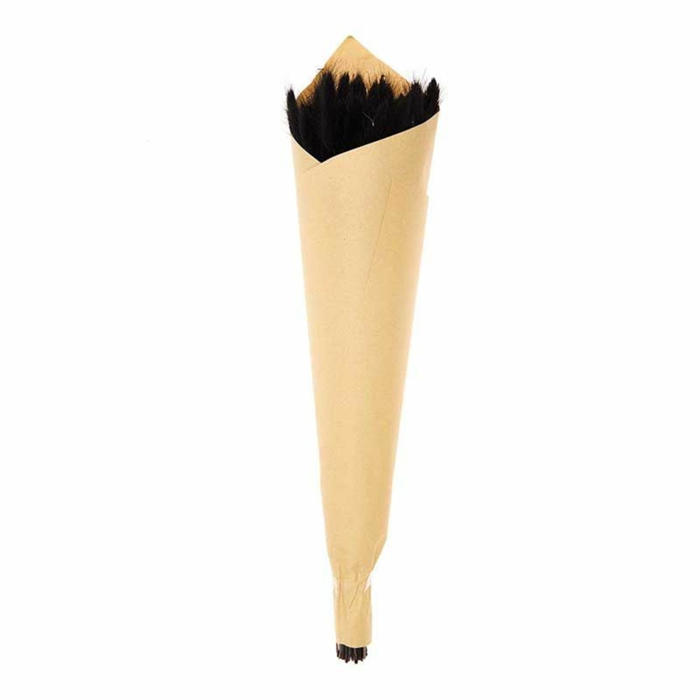 Lagurus séchés noir - 45 cm