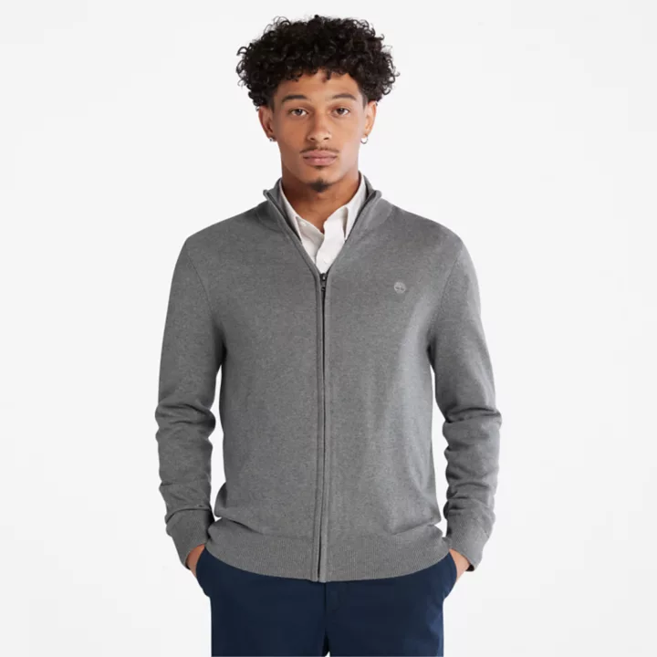Pull zippé Williams River pour homme en gris