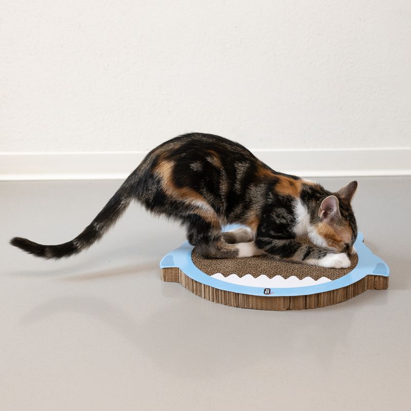 Griffoir TIAKI Requin pour chat