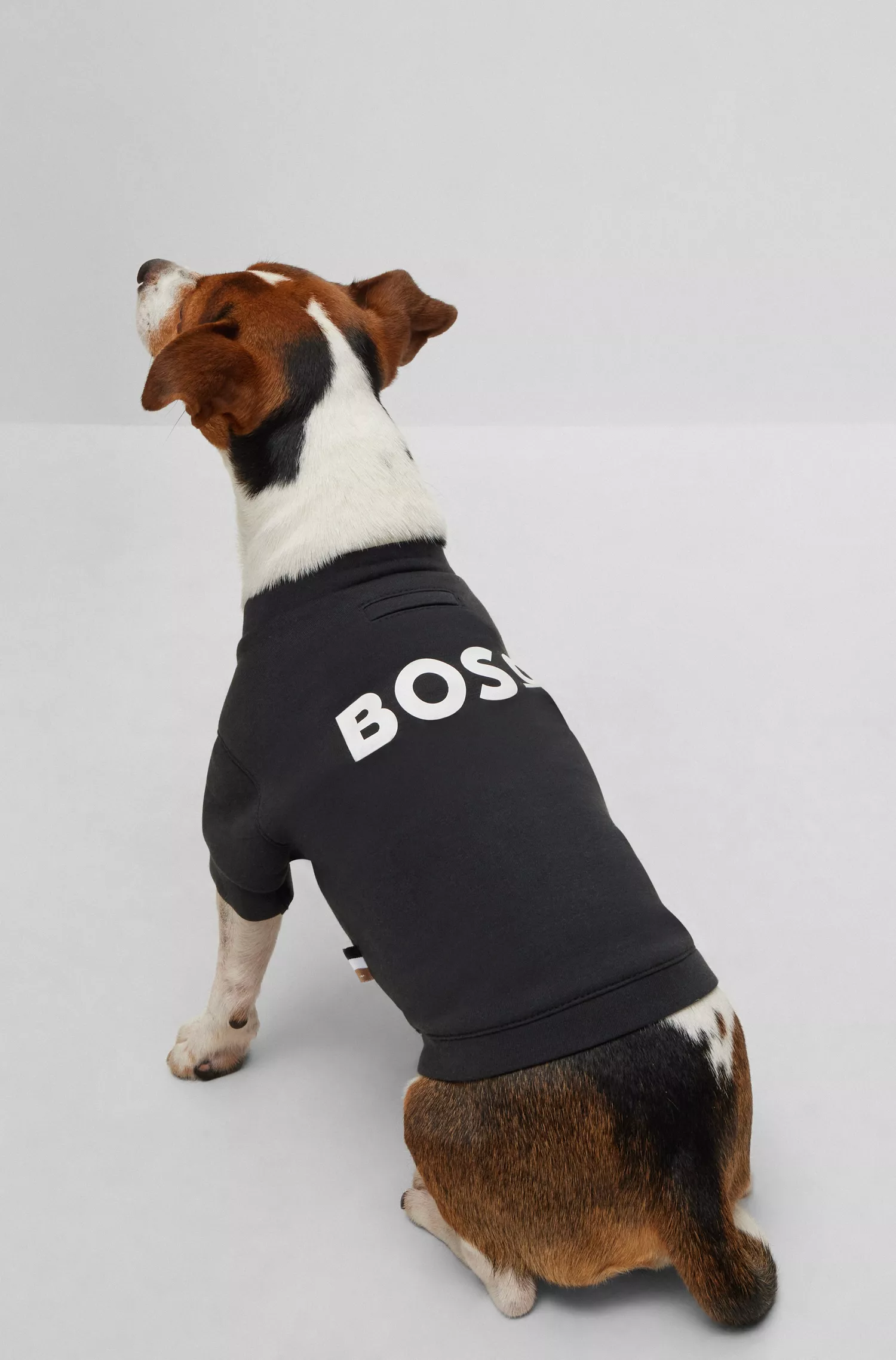 Camiseta BOSS Black-Dog em malha de algodão misto