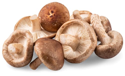 Bio Shiitake, Schale