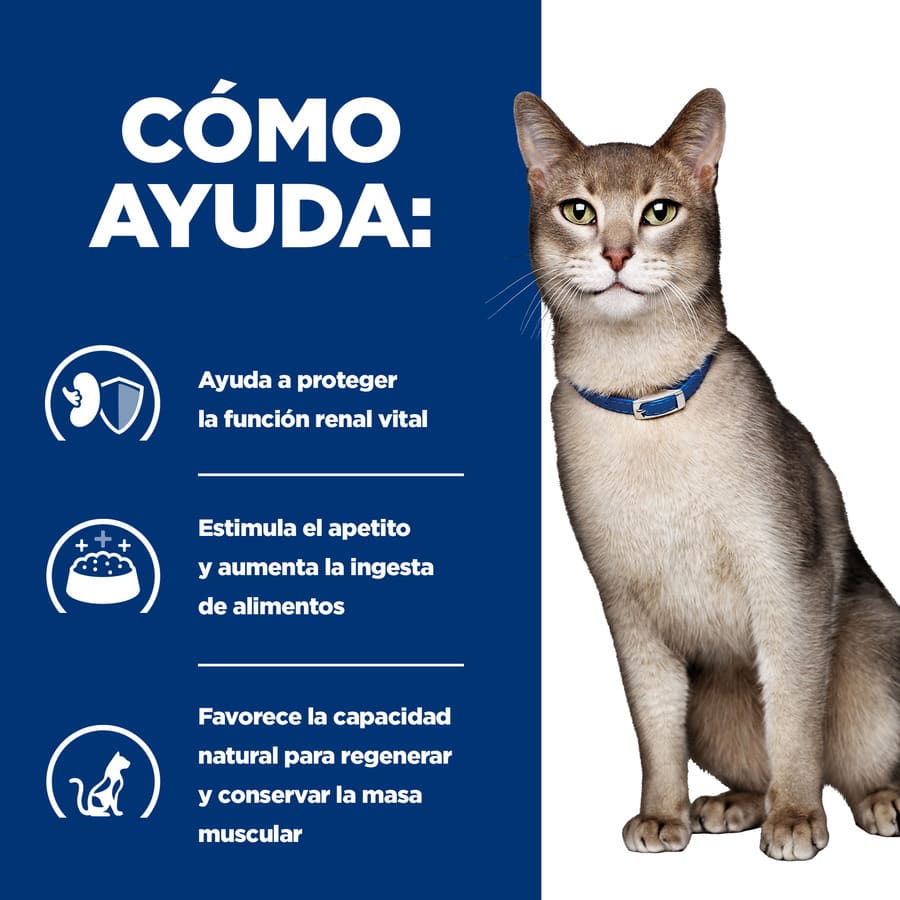 Sachê de Salmão ao Molho Hill's Prescription k/d Diet Kidney Care para Gatos