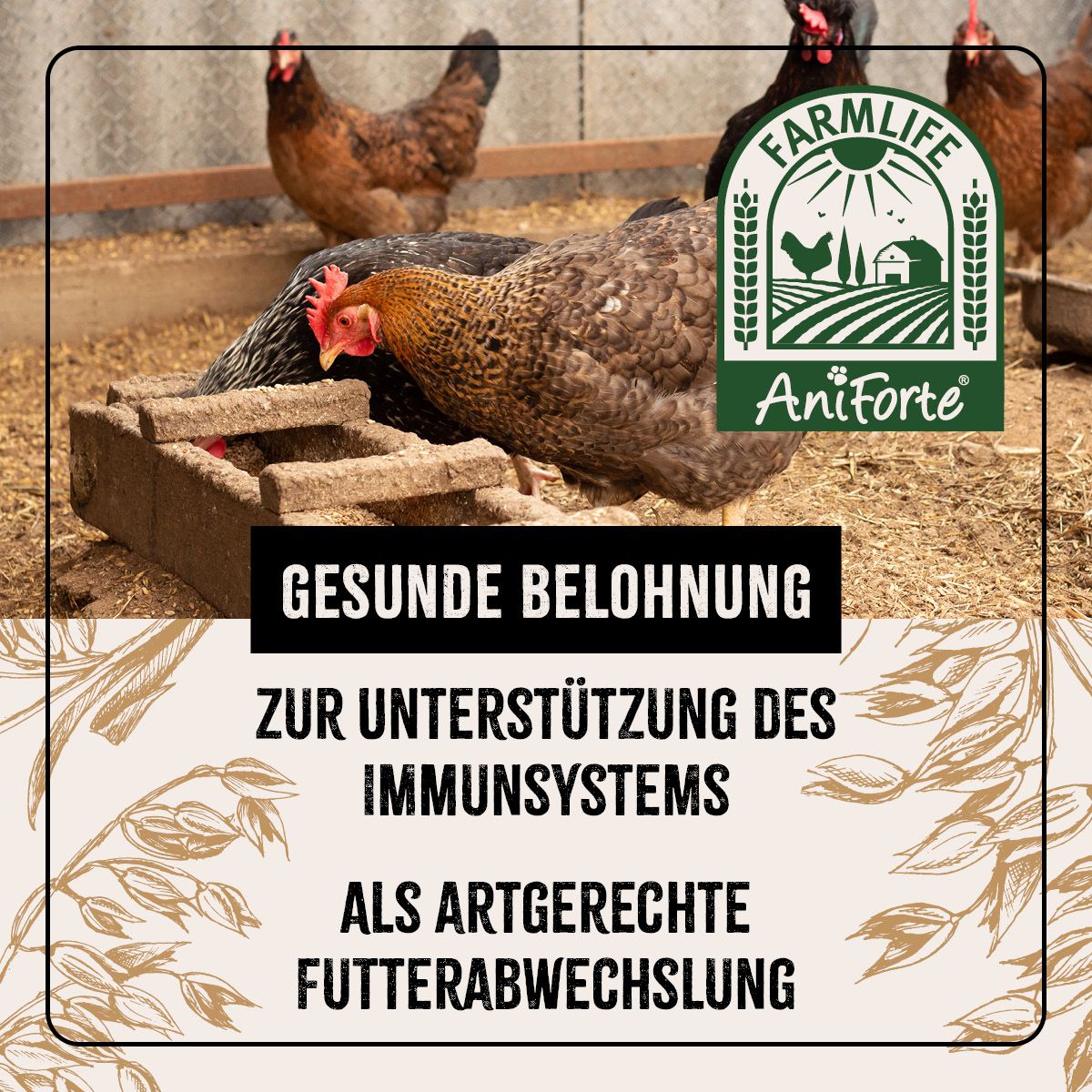 AniForte FarmLife Hühnertraum