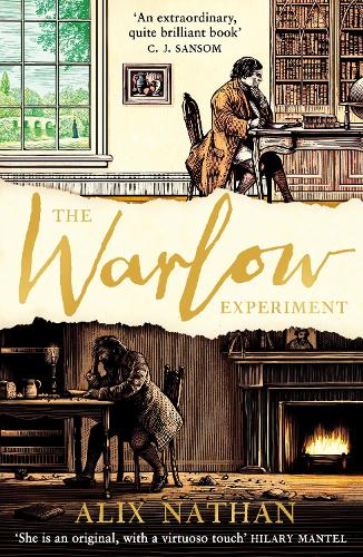 The Warlow Experiment (Paperback)