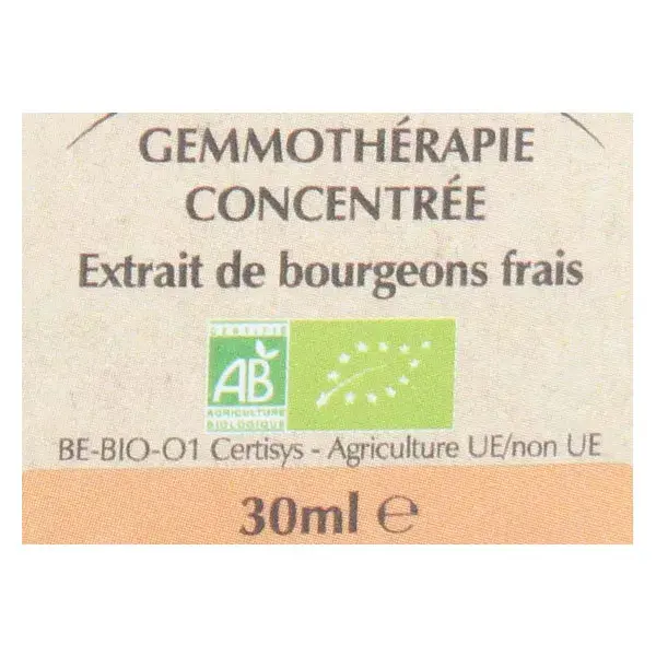 Herbalgem Memogem Memory Bio Gemmotherapy Complex 30ml