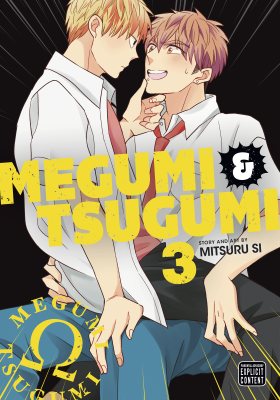 Megumi & Tsugumi, Vol. 3 - Megumi & Tsugumi 3 (Paperback)