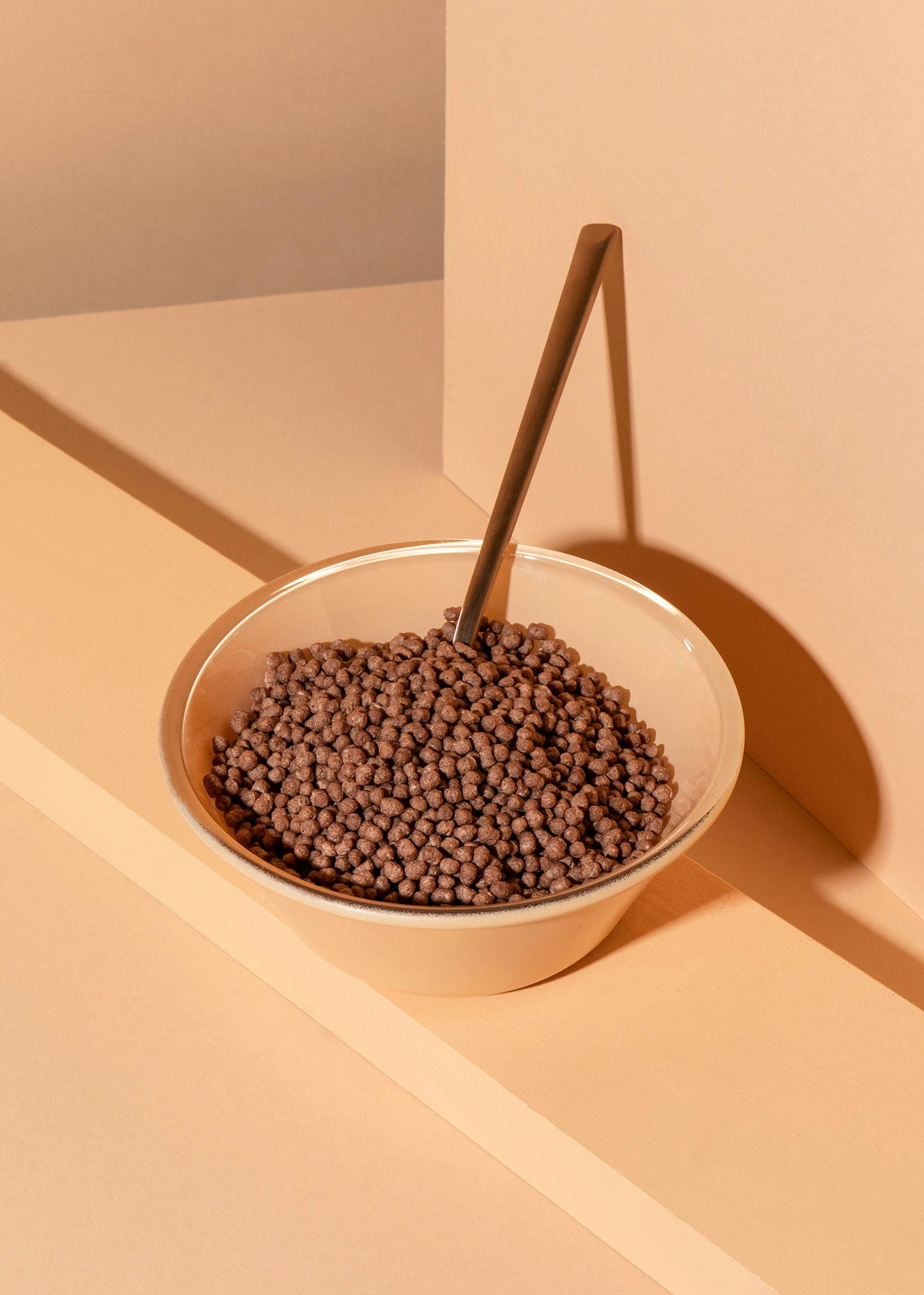 Soja Protein Crispies mit Kakao und 58 % Protein 1 kg