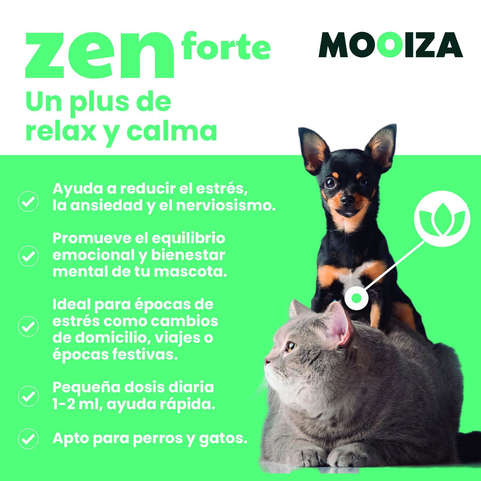 MOOIZA zen forte