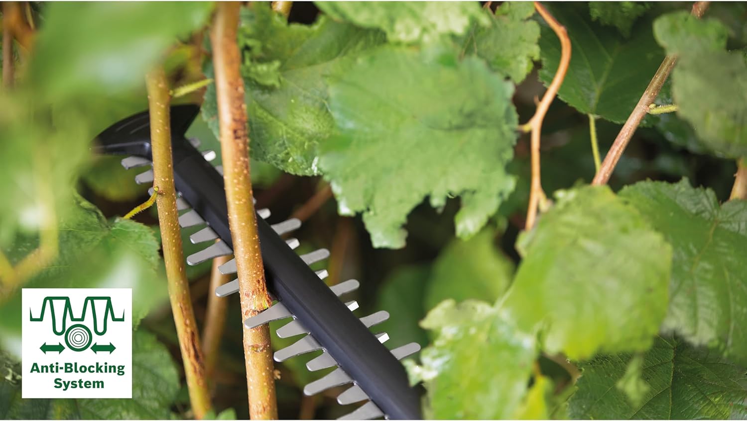 Bosch Akku-Heckenschere AdvancedHedgeCut 36V-65-28 (1x 2,0-Ah-Akku, 36-Volt-System, Messerlänge 65 cm, im Karton) - Testnote: sehr gut (Magazin: selbst ist der Mann)