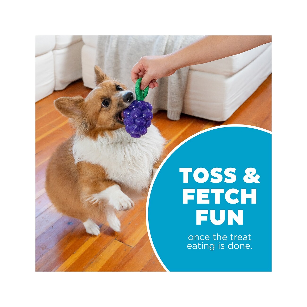 Planet Dog Dental Hundespielzeug