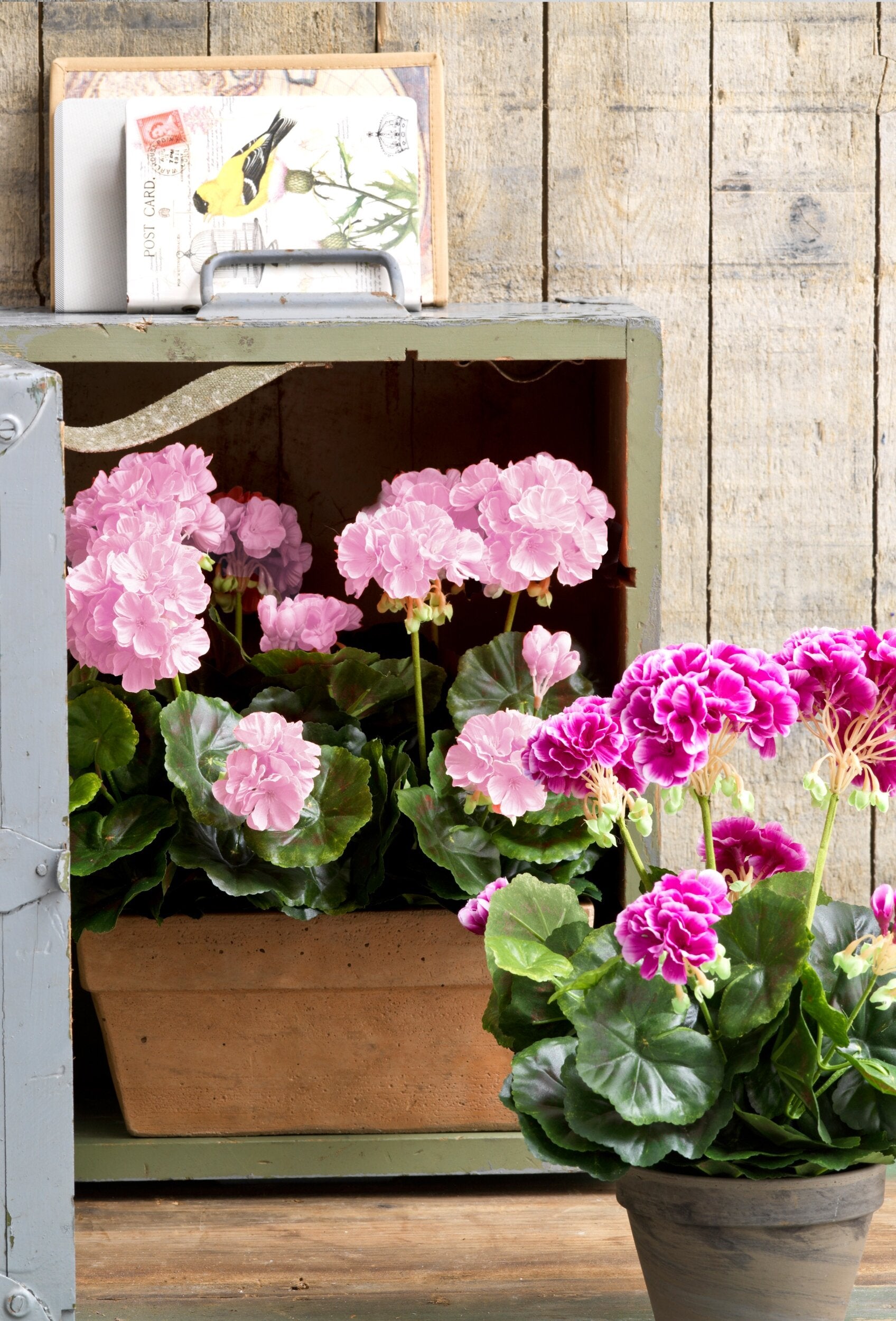 Mica Decorations Geranium roze in balkonbak terra - l29xb13xh40cm