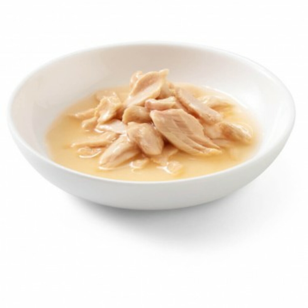 14x Schesir Kattenvoer Gekookte Zalm85 gr