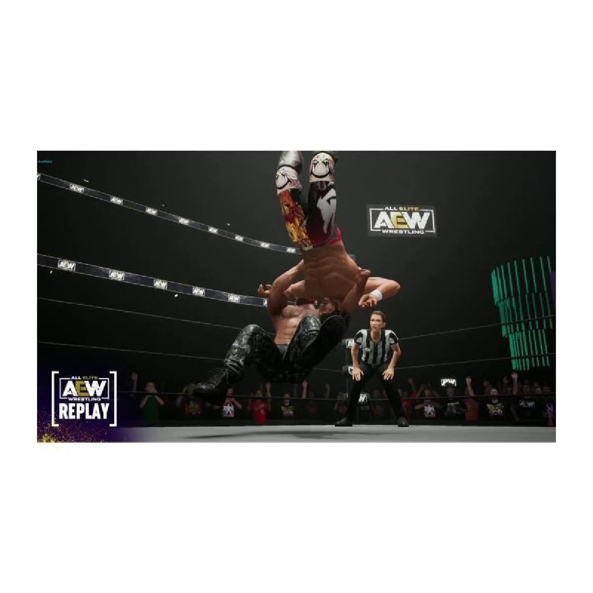 THQNORDIC Aew: Fight Forever