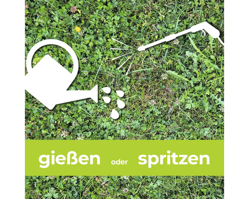 Onkruidverdelger voor gazons Protect Garden Loredo Quattro Concentraat 100 ml voor 100 m²