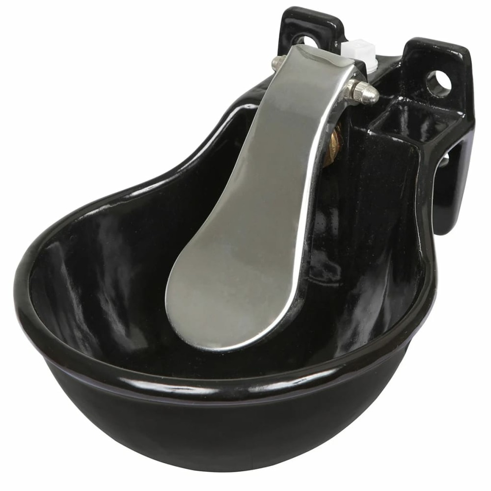 Bol à eau fonte