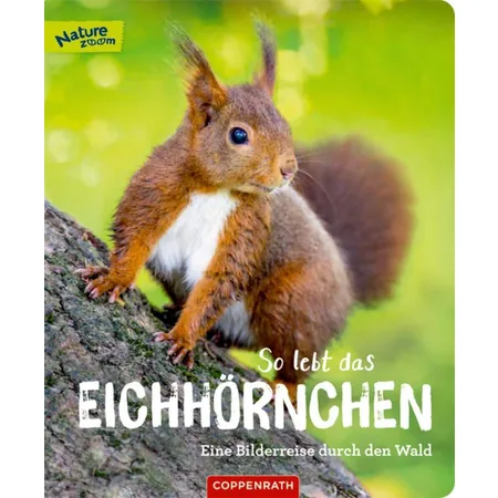 Coppenrath Verlag So lebt das Eichhörnchen (Nature Zoom)
