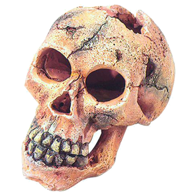 Aqua D'ella Dekor Totenkopf S 11cm