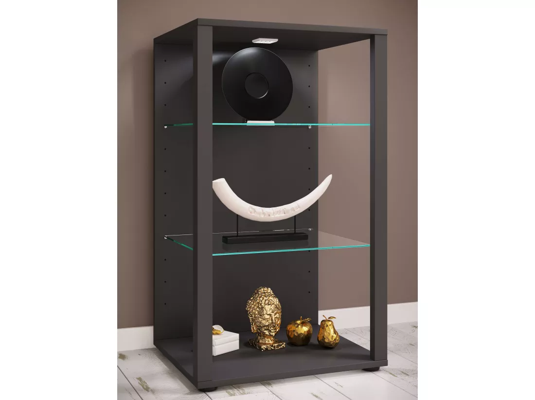 Bois Verre Vitrine Glasol XL