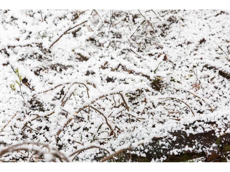 BeamZ Pro Schneemaschine SNOW5000 Professionelle Schneemaschine