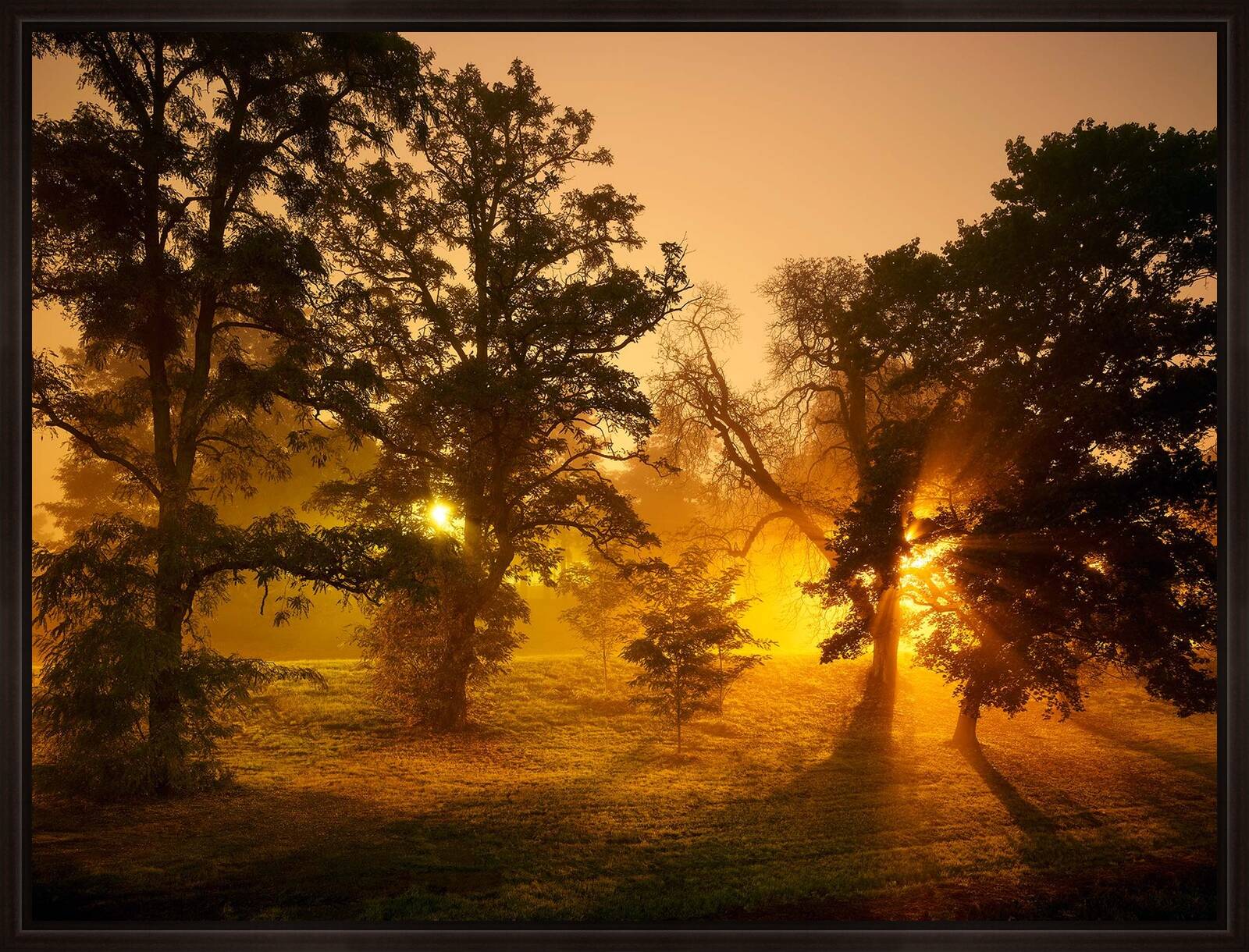 Two Suns by Horst & Daniel Zielske - Limited Edition. Edition of: 150. Signed.