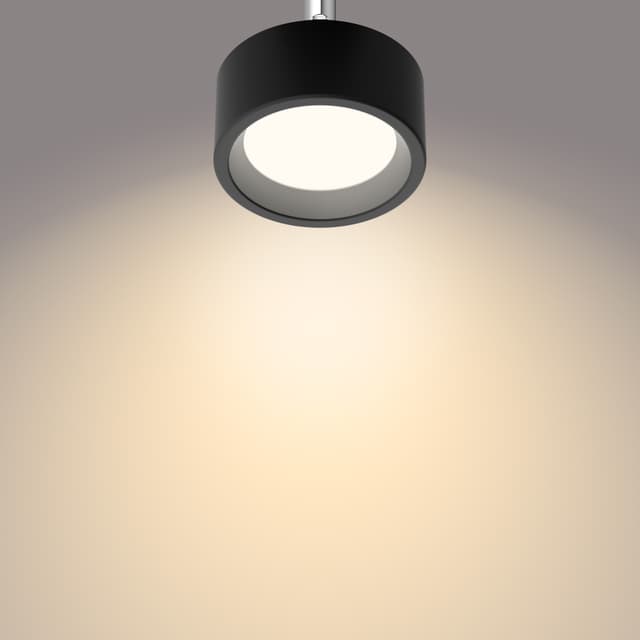 Philips Bracia spotlys 5,5 W