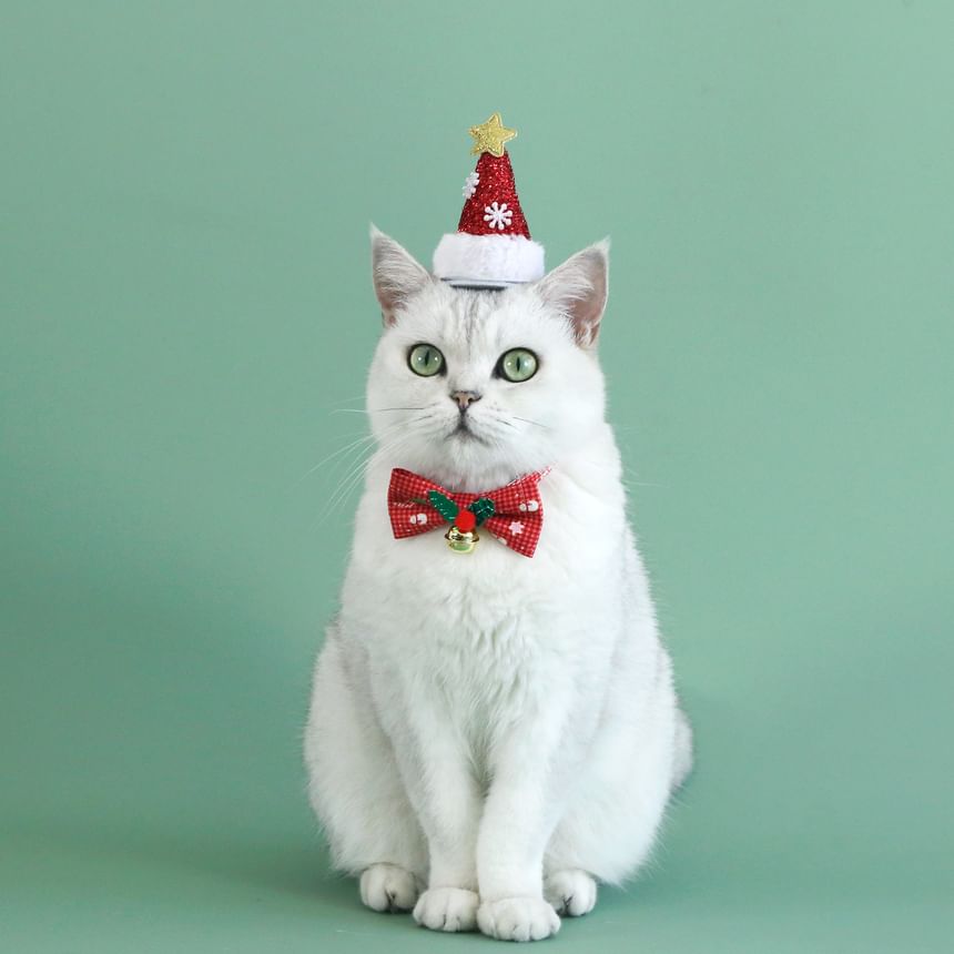 2night - Kerststrik huisdierhalsband / hoed / set (verschillende ontwerpen)