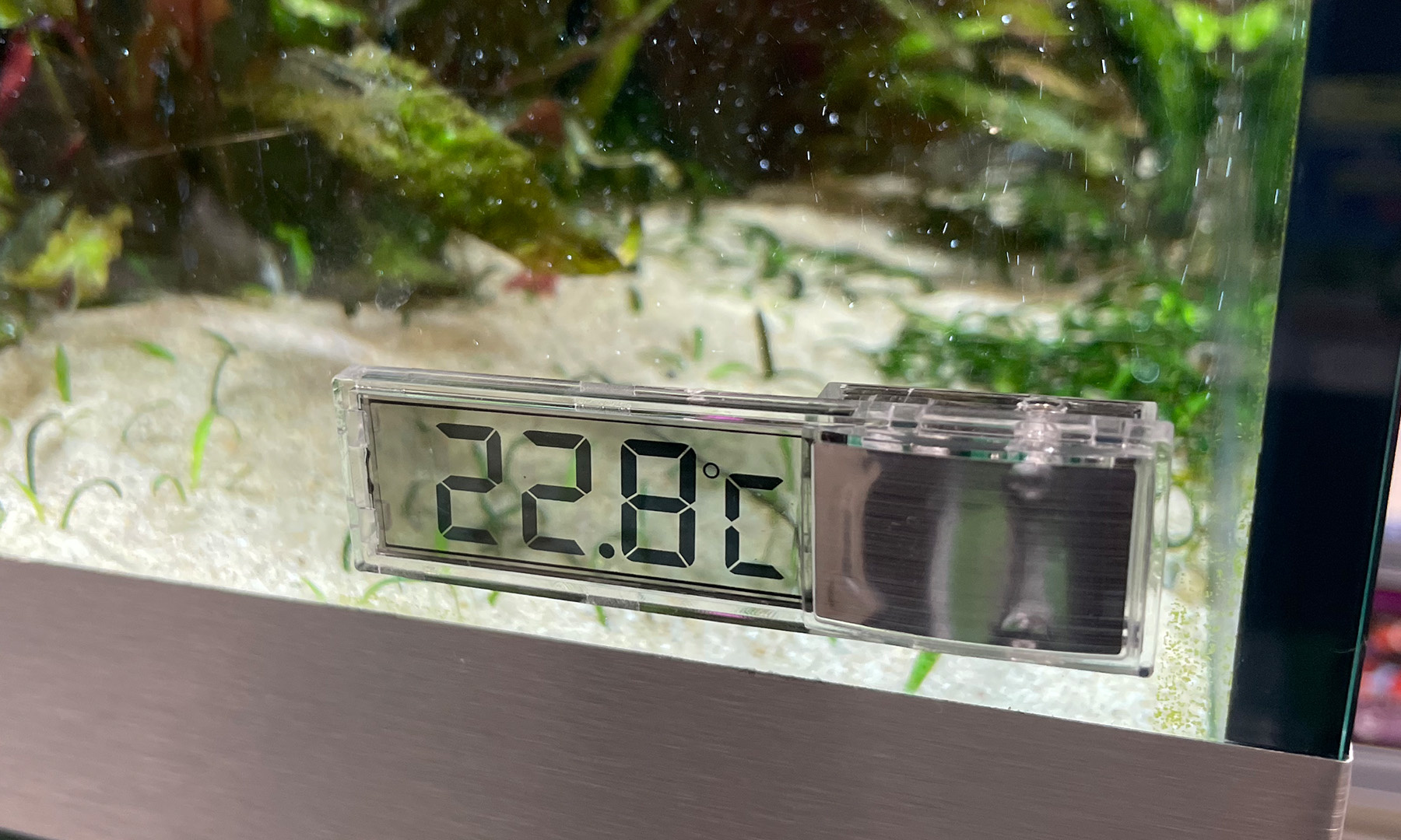AquastoreXL Digitale Plakthermometer Zilver | Thermometer