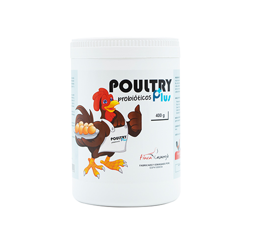Probiótico natural para fortalecer a saúde intestinal das suas aves | Poultry Plus (1600g) | Melhora a fertilidade e a postura de ovos