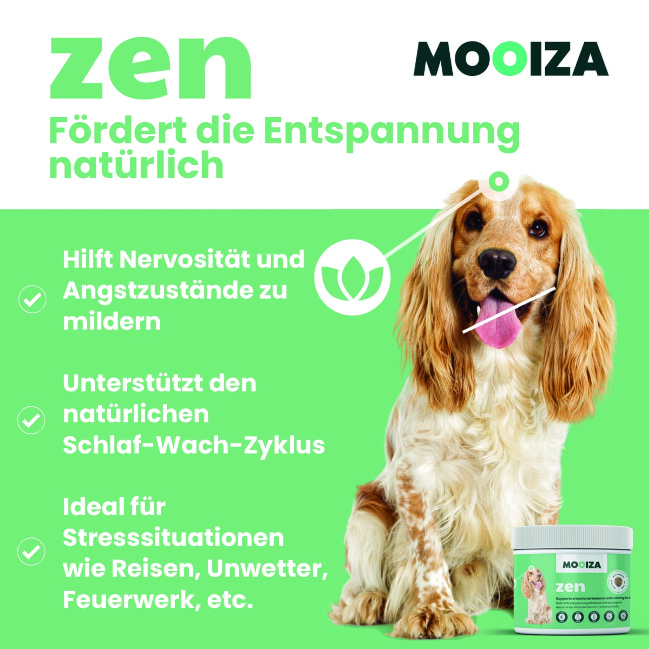 Mooiza Pet Zen Leckerli