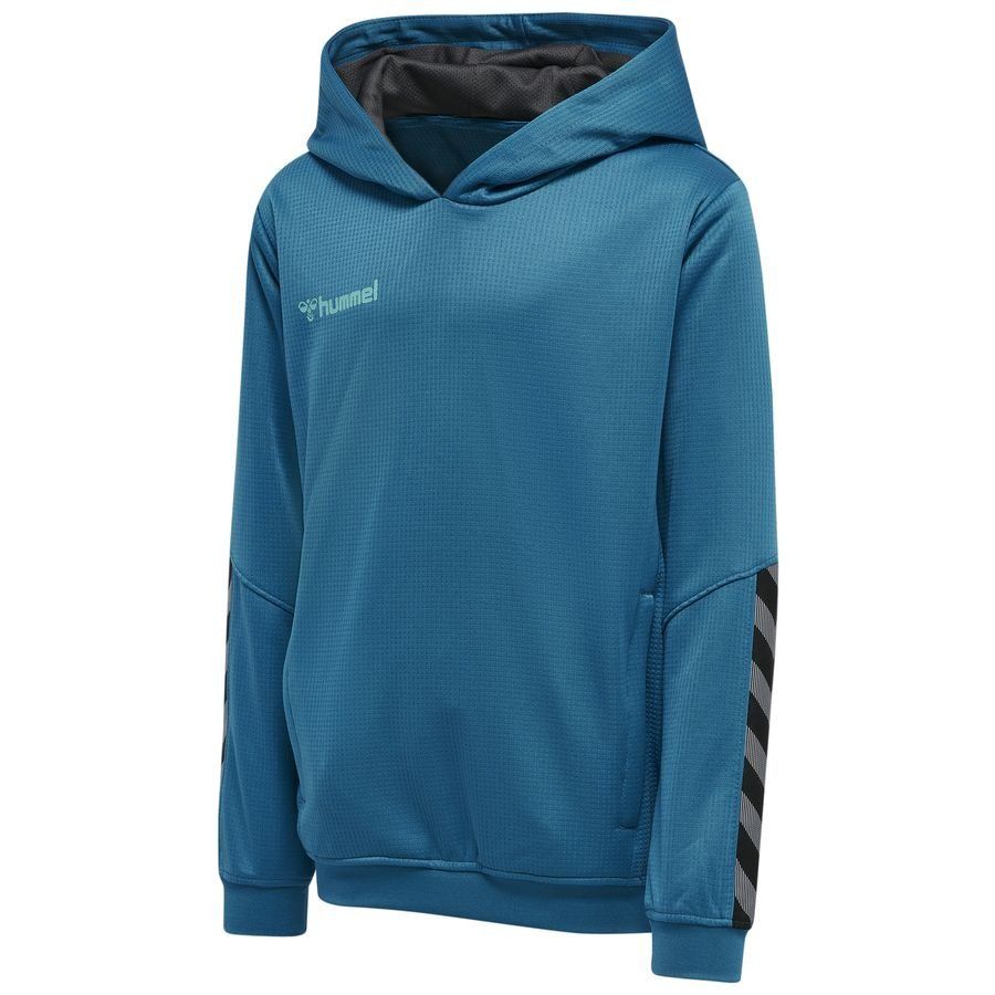 Sweat à capuche