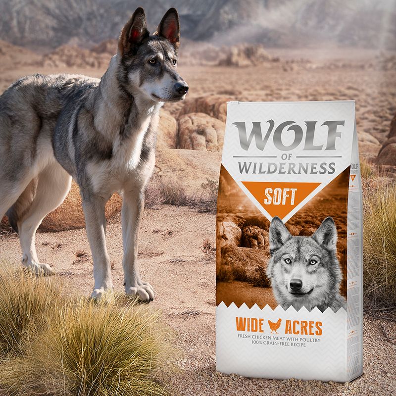 Wolf of Wilderness Adulte Soft Wide Acres, poulet