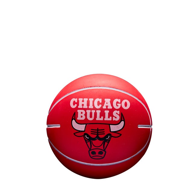 NBA Team Dribbler Basketball