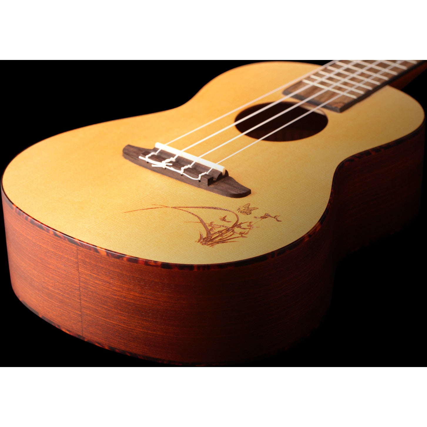Ortega RU5 ukelele concert
