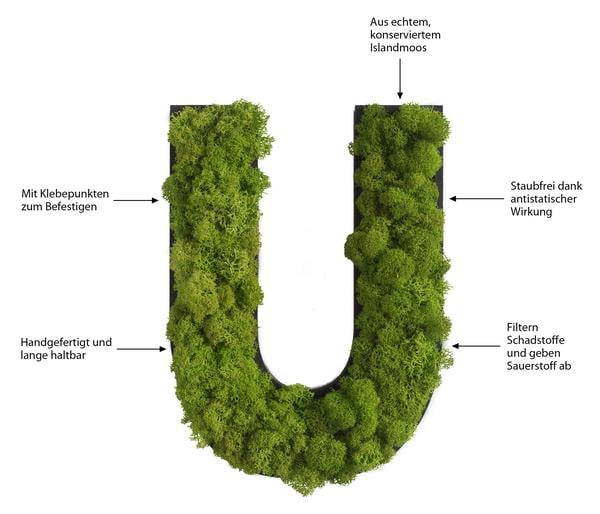 styleGREEN Buchstaben aus Islandmoos, ca. H25