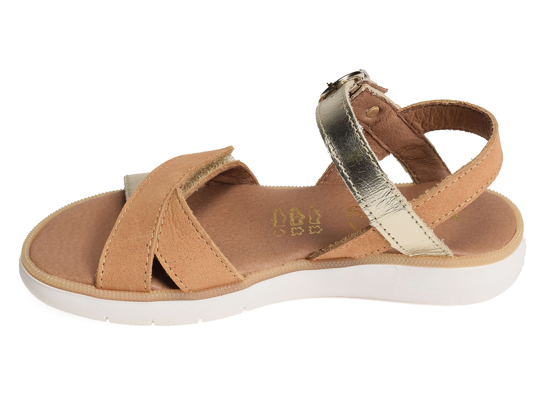 Cuvac camel or