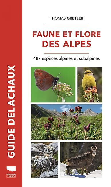 DELACHAUX  NIESTLE - FAUNE ET FLORE DES ALPES