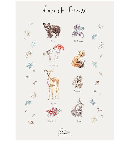 Cam Cam Friends - Forest